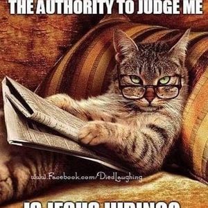 Meet your Posher, Jackson